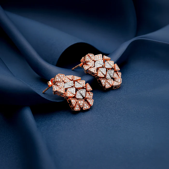 Dual Tone Aurora Angle Silver Earrings - Image 2